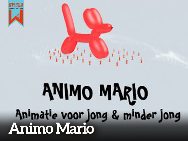 Animo Mario